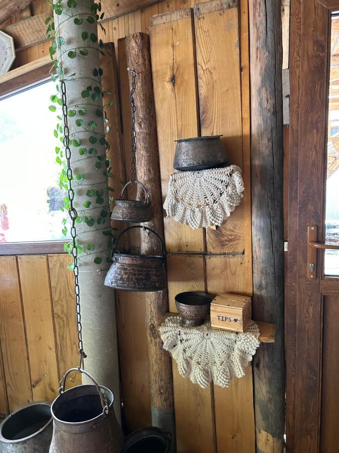 Shio'S Stonehouse In Tusheti Hostel Екстериор снимка