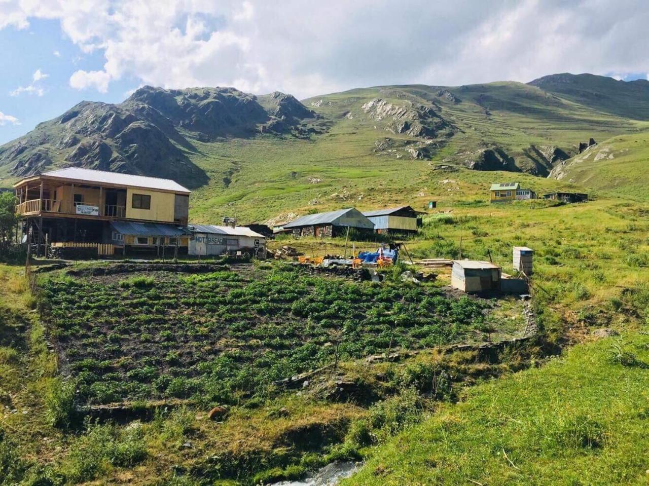 Shio'S Stonehouse In Tusheti Hostel Екстериор снимка